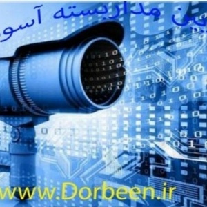 مجتبی اسدبگی