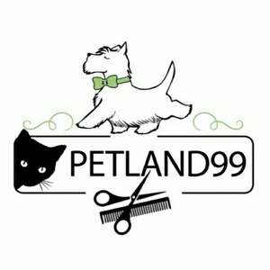 محسن آذرنیا فخیم