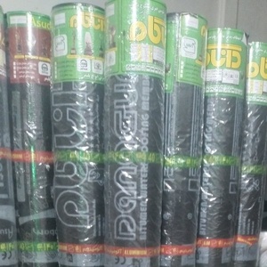 علی بیگ زاده