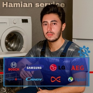 محمد جواد هامیان