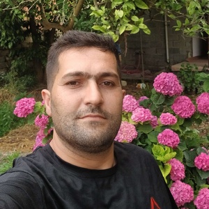 علی لطفی