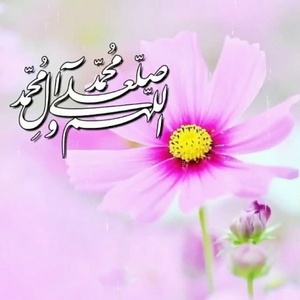 محمد محبی فر