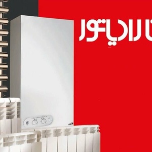 محمد رضا پورعظیم دوست