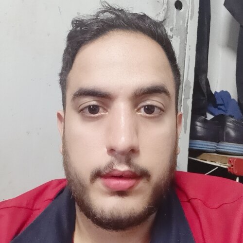 مرتضی پرمون شادهی