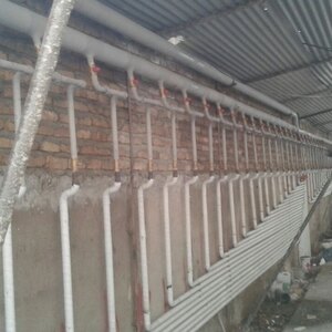 حسین علی قربانی