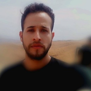 محمد رضا لیلیان پور