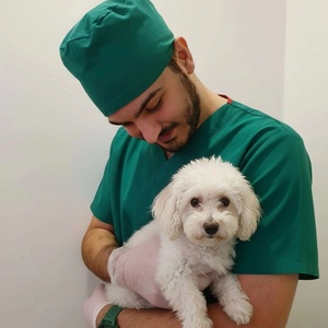 کامیاب پاژنامه