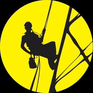 کاوه دادخواه