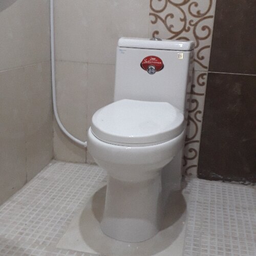 مصطفی محمدی