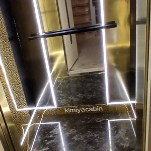 مصطفی حدودی