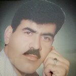 نبی شرفی