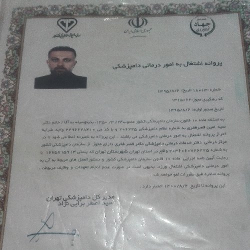 سید امین قصرفخری