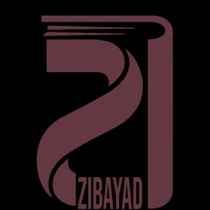 مرتضی محمدی
