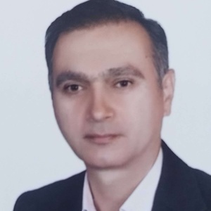 مهدی گل محمدزاده