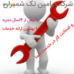 شاهین حقیقی نژاد