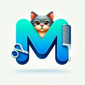 محمد حسین بارانی