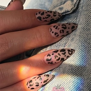 شکوفه بربری