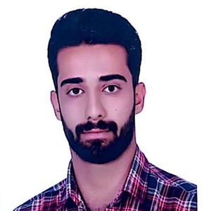 سید مصطفی سالمی نوش آبادی