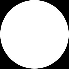 مهرداد مرادی ترک امیری