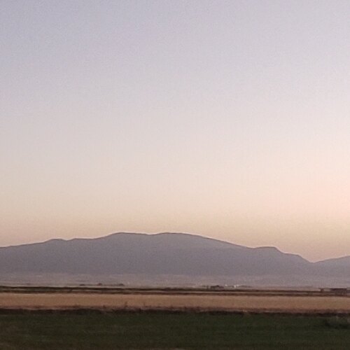 فرهنگ محمودی