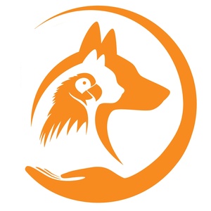 حسن مهرآبادی