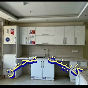 سید محسن سلیمانی نژاد