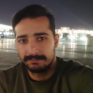 سینا مردانی