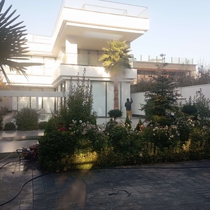 علی عقیقی سلیمان پور