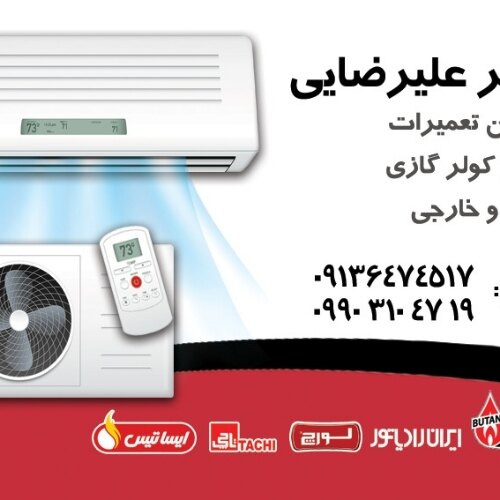 امیر علیرضایی