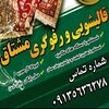 رضا ملک محمدی