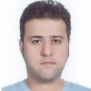 سید محسن شرفی