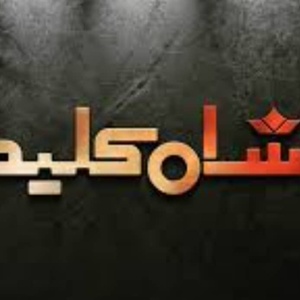 حمیدرضا امینی