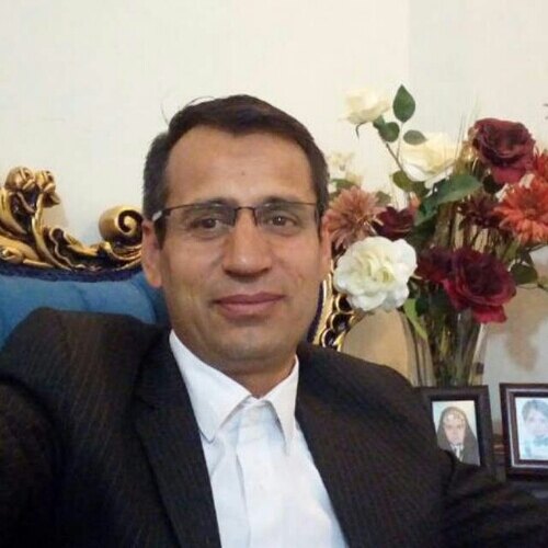 محمدولی انصاری