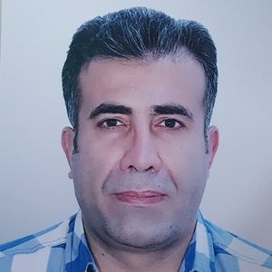 سید مهدی حسینی