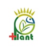 پلنت پلاس  plant plus