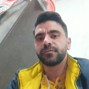 مقصود حمامی مایان