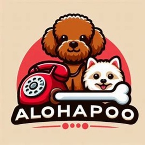 حمید رضا قهرمانی