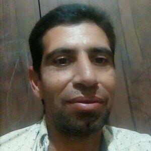 محمد مهدی محمودی