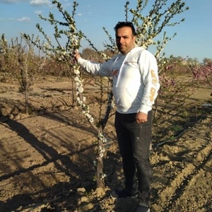 سعید باقرزاده اصل