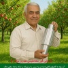 علمدار تابع بردبار