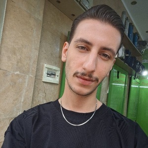 حسین محمودی