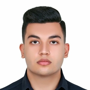 امیرحسین محسنی