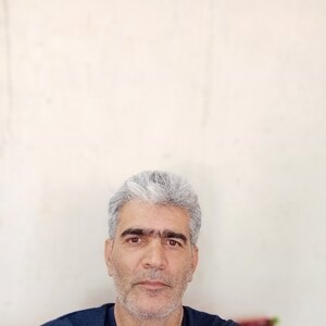 ولی رضایی برانقار