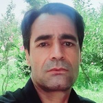 یاور پاشائی