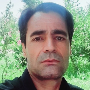 یاور پاشائی