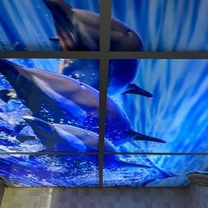 پدرام پورصنم