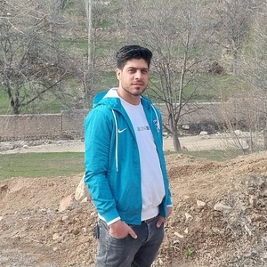 مهدی نعمتی طراقی