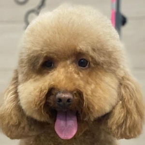 علیرضا هابیلی