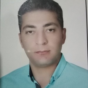 حسام سلیمانی دهکردی