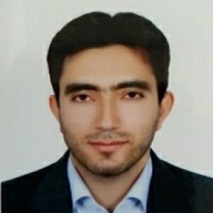 سیدمحمدحسین علوی